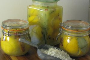 preserved lemons gros sel gris scaled